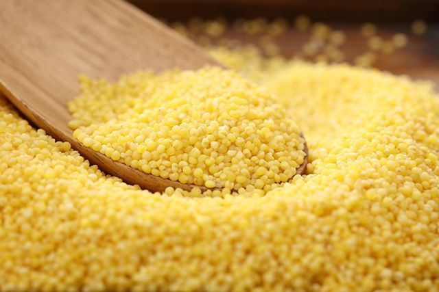 通訊：“世界小米之鄉(xiāng)”敖漢旗的“脫貧新路”