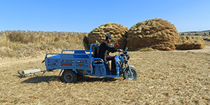 農(nóng)場(chǎng)風(fēng)采